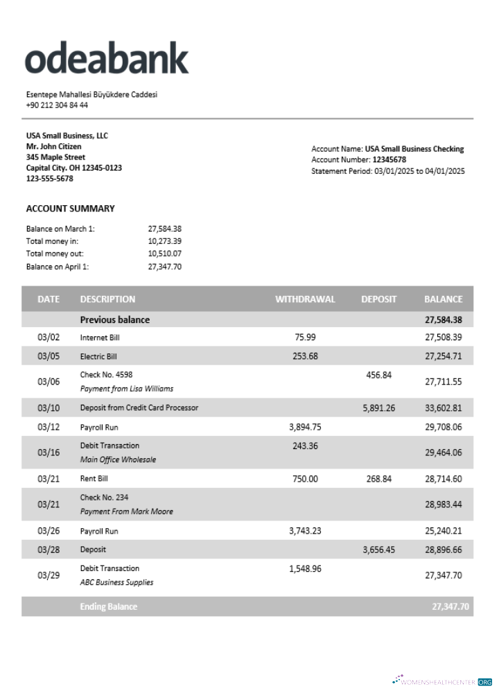 Download Turkey Odeabank firm account statement Word and PDF template Photoshop template